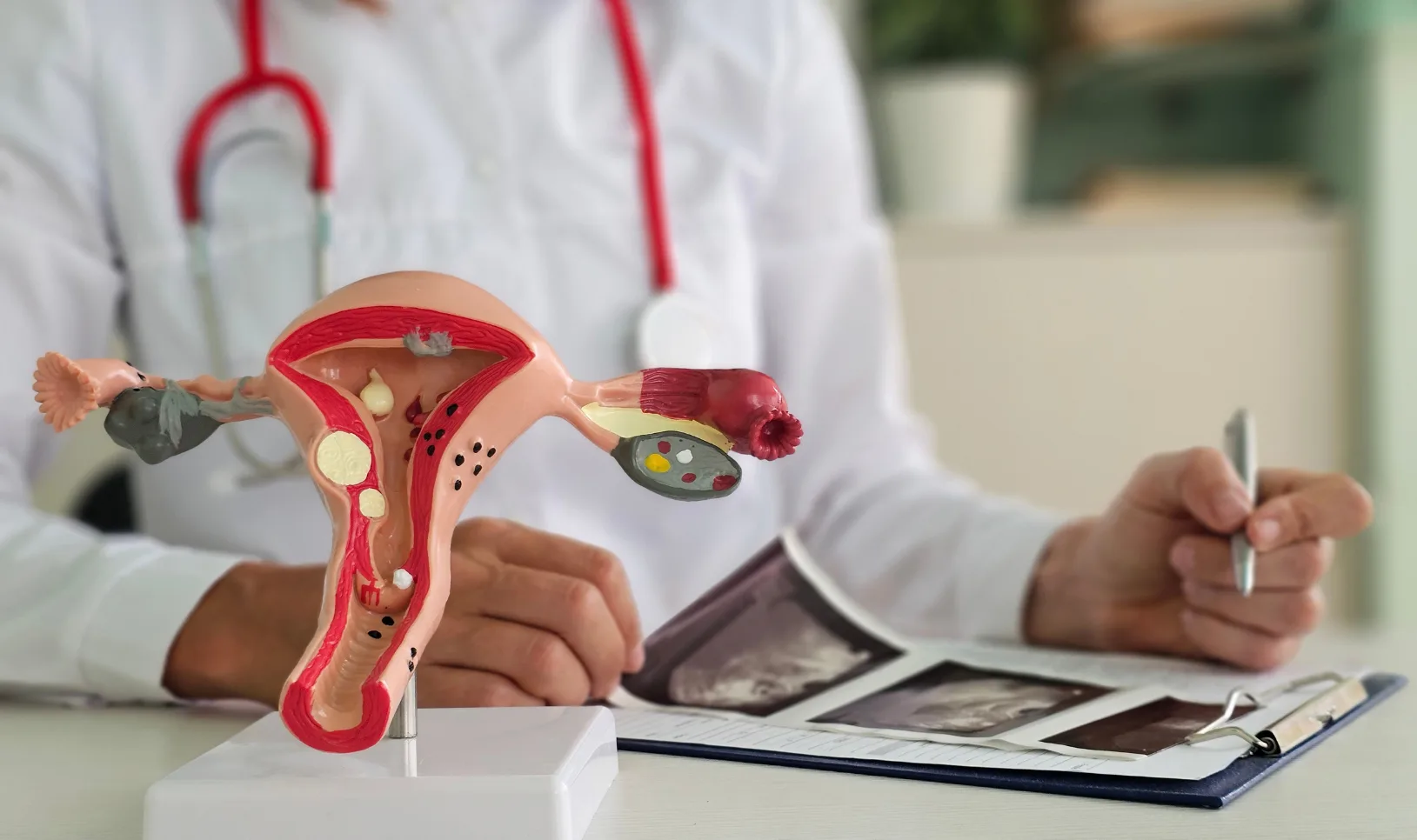 Endogynecology Care at GEM Hospital