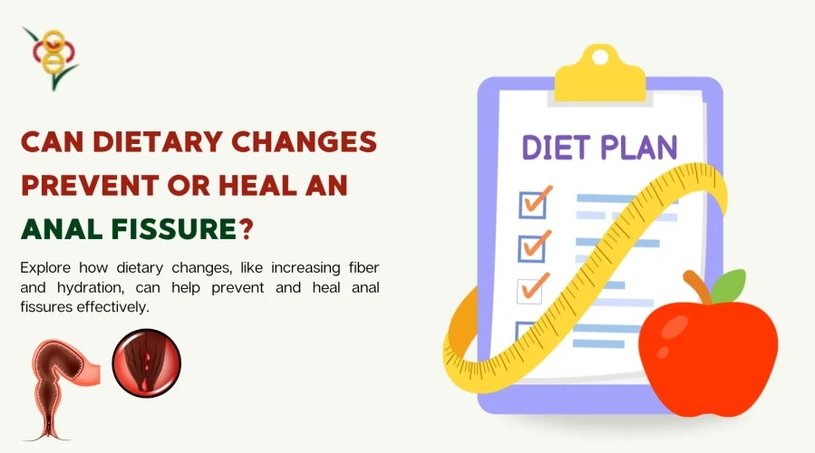 Can Changing Your Diet Prevent or Heal a Fissure?