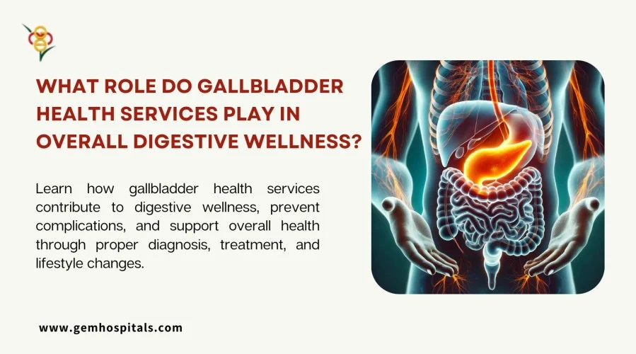 What Role Do Gallbladder Health Services Play in Overall Digestive Wellness